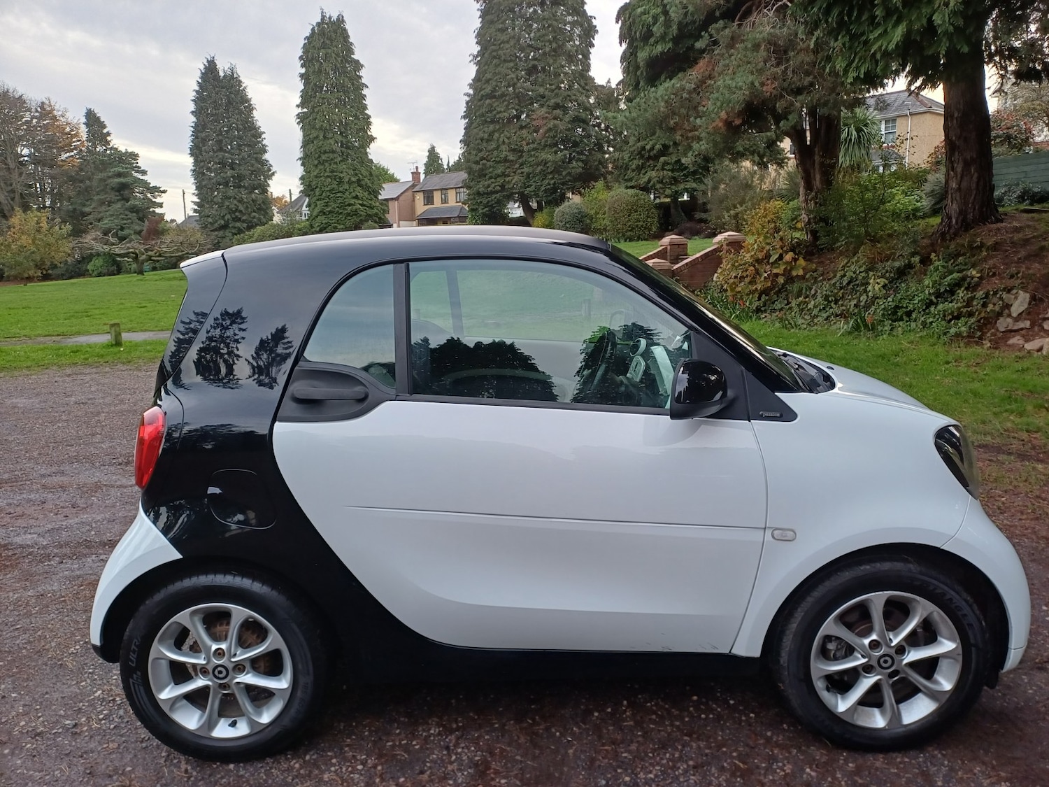 Used smart fortwo 2016 for sale - 77465002: Photo 3