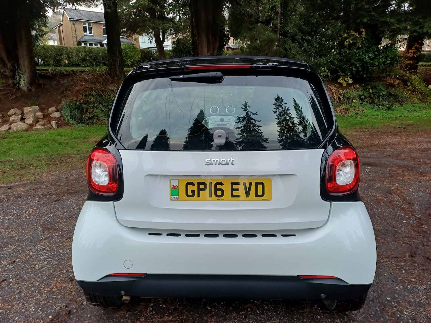 Used smart fortwo 2016 for sale - 77465002: Photo 5