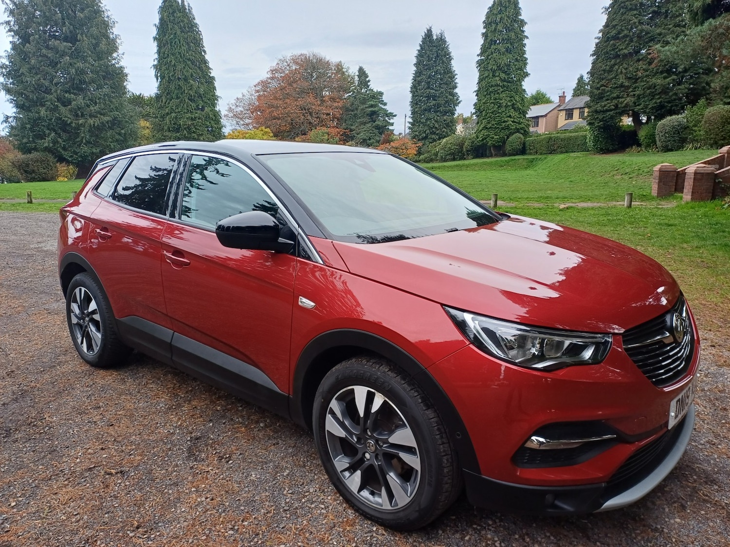 Used Vauxhall Grandland X 2019 for sale - 76656211: Photo 1