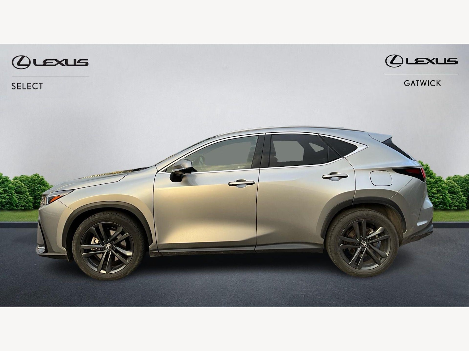 Used Lexus NX 2023 for sale - 78062947: Photo 3