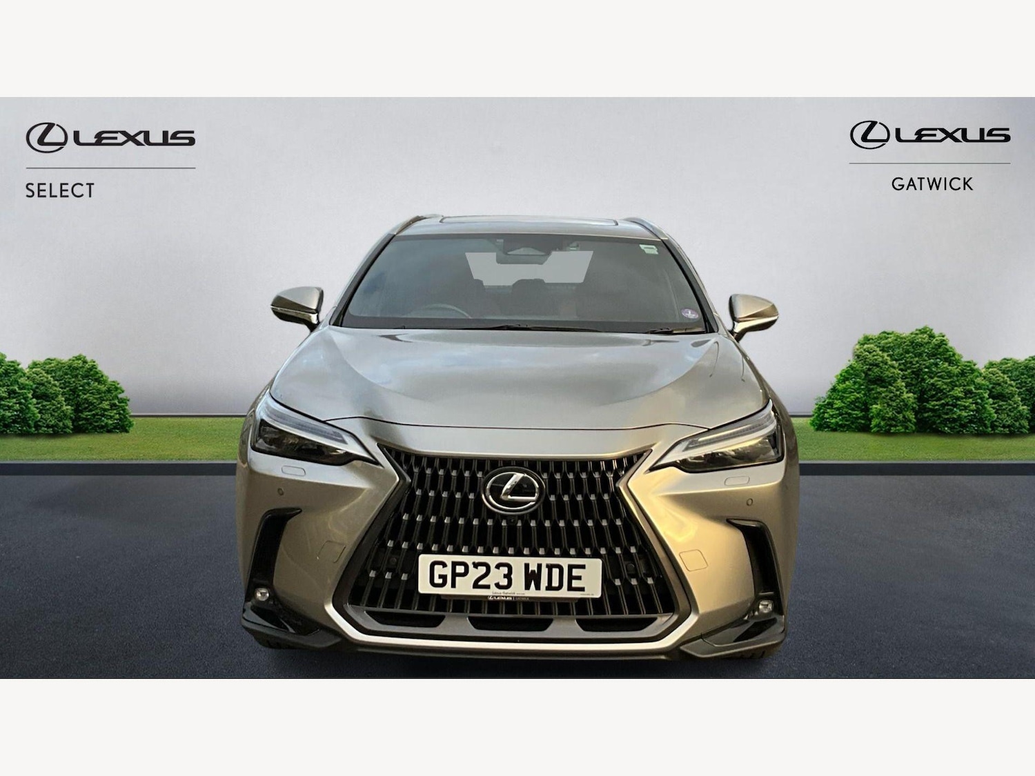 Used Lexus NX 2023 for sale - 78062947: Photo 6