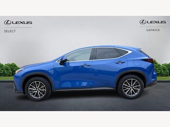 Used Lexus NX 2023 for sale - 77358749: Photo