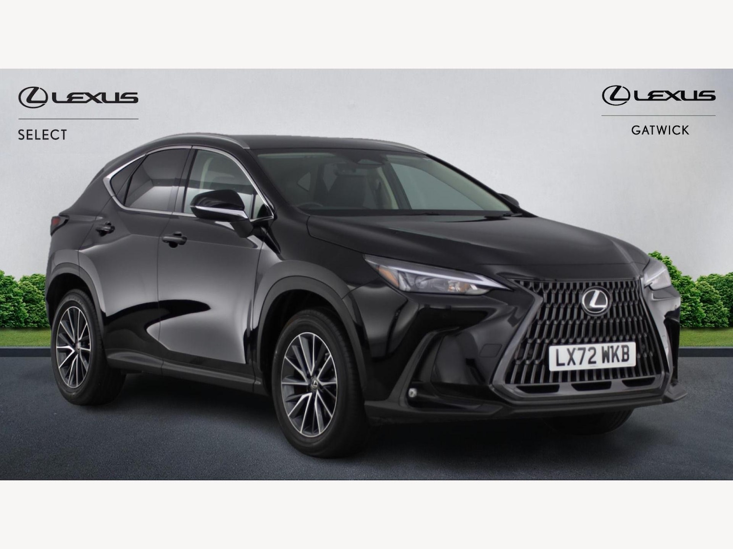 Used Lexus NX 2022 for sale - 76918681: Photo 1
