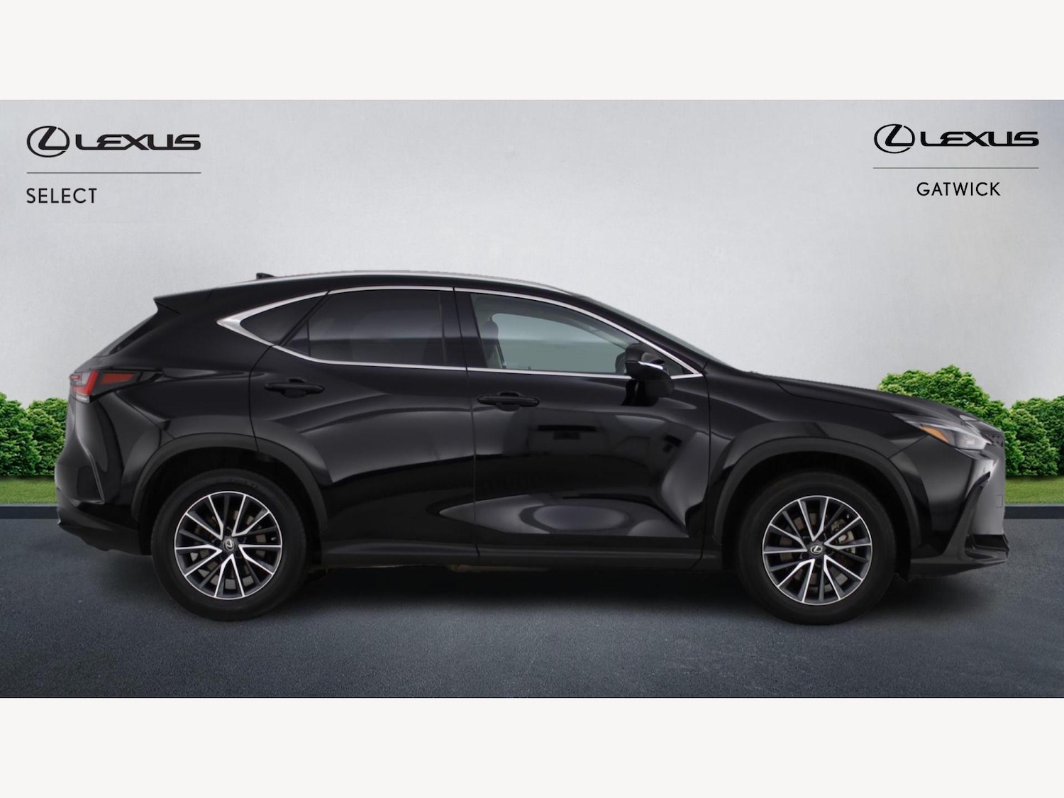 Used Lexus NX 2022 for sale - 76918681: Photo 18