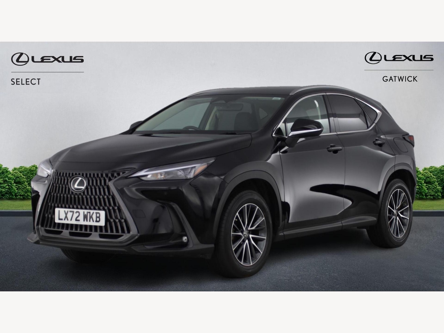 Used Lexus NX 2022 for sale - 76918681: Photo 19