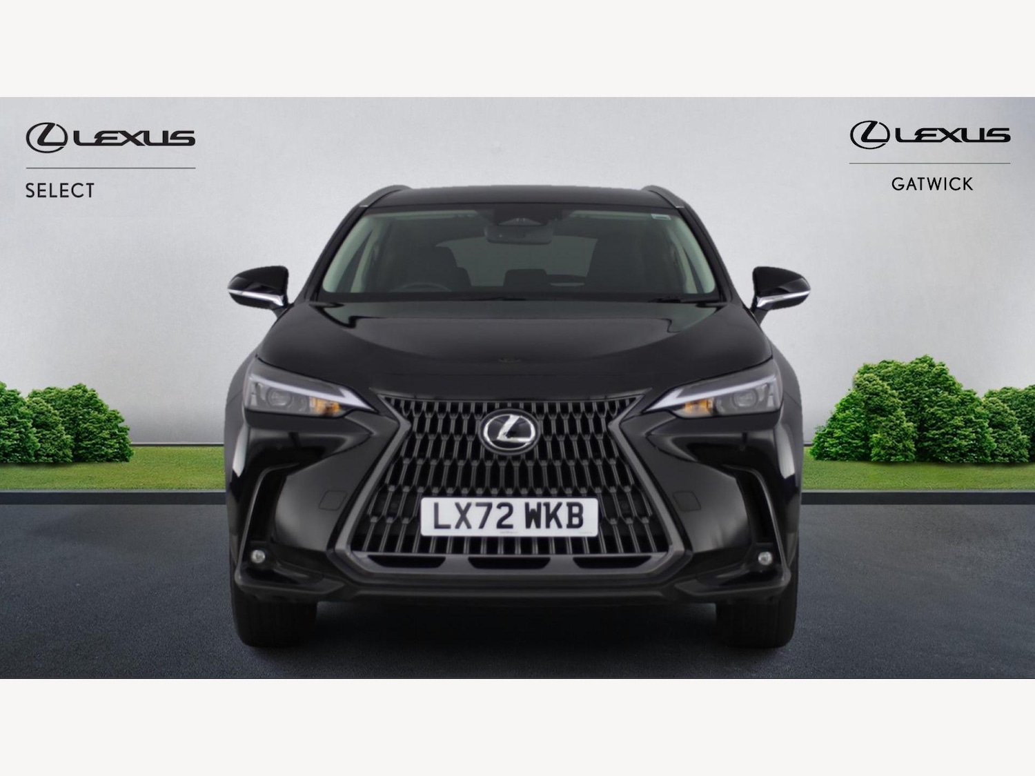 Used Lexus NX 2022 for sale - 76918681: Photo 6