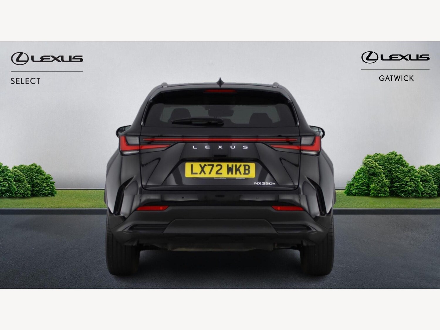 Used Lexus NX 2022 for sale - 76918681: Photo 7