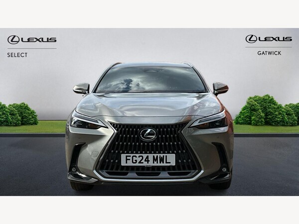 Used Lexus NX 2024 for sale - 76094319: Photo 6