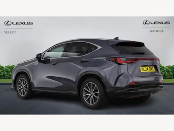Used Lexus NX 2024 for sale - 78623544: Photo