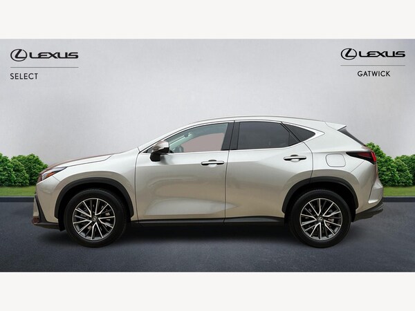 Used Lexus NX 2023 for sale - 76295366: Photo 3