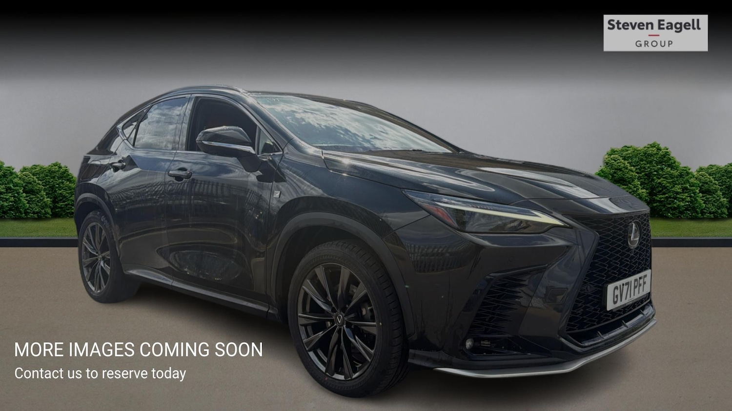 Used Lexus NX for sale - 78220177: Photo 1