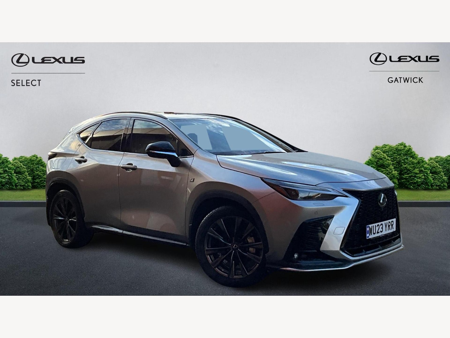 Used Lexus NX 2023 for sale - 77278692: Photo 1