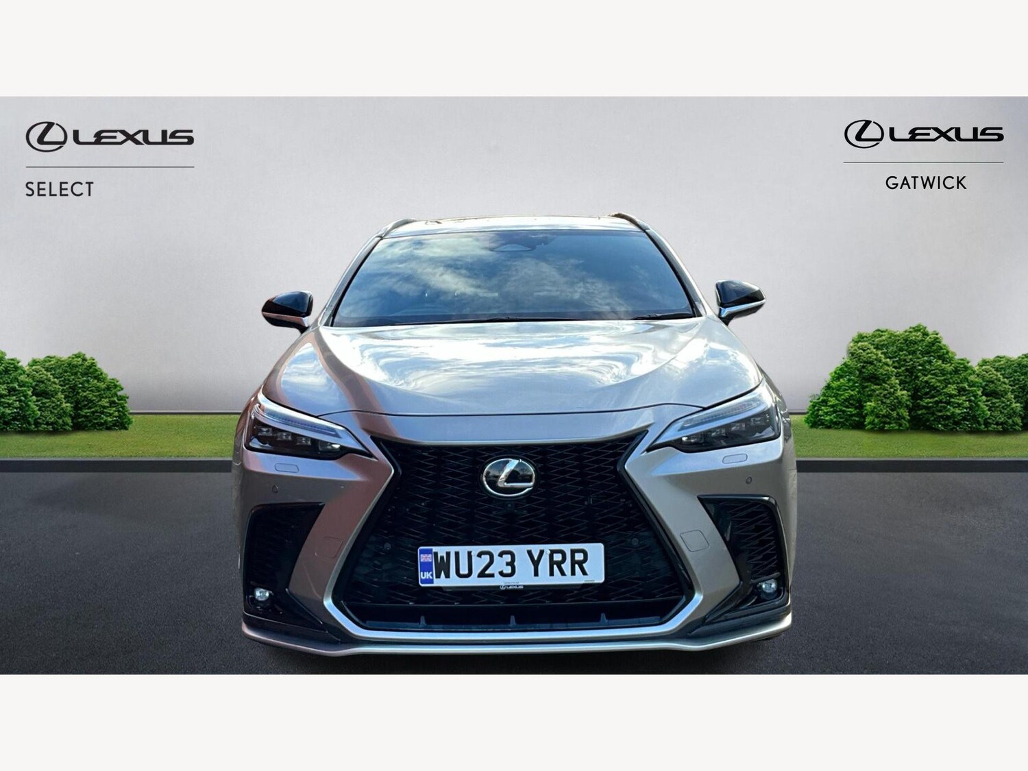 Used Lexus NX 2023 for sale - 77278692: Photo 6