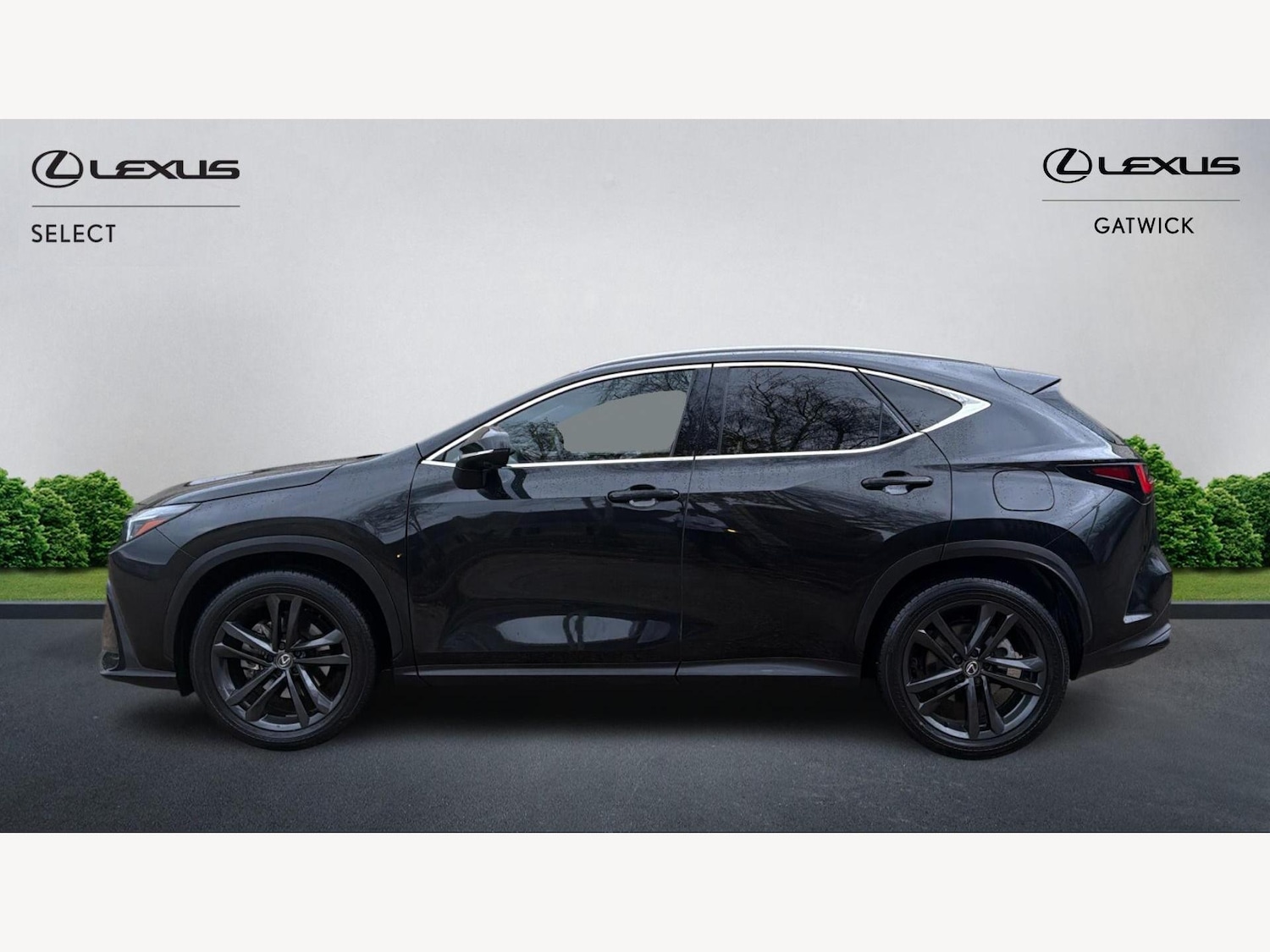 Used Lexus NX 2023 for sale - 77049777: Photo 3
