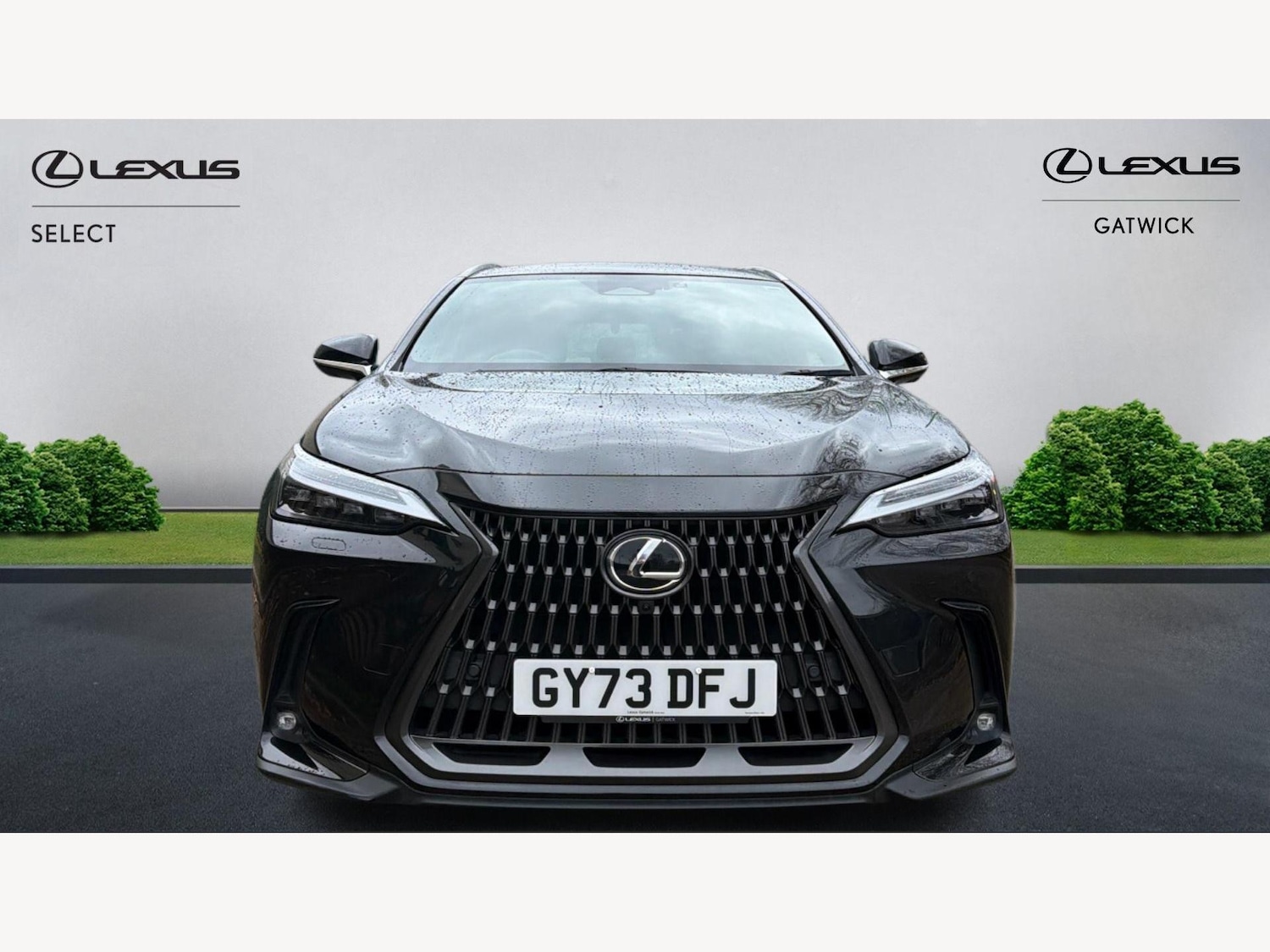 Used Lexus NX 2023 for sale - 77049777: Photo 6