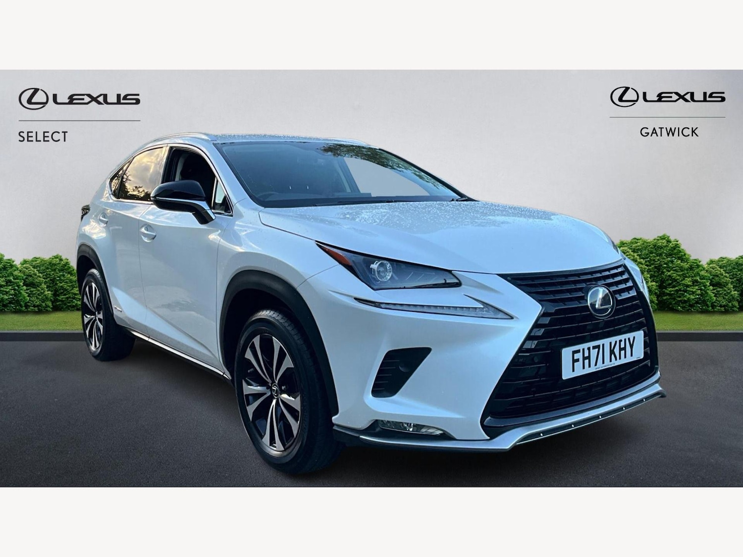 Used Lexus NX 2021 for sale - 76446617: Photo 1