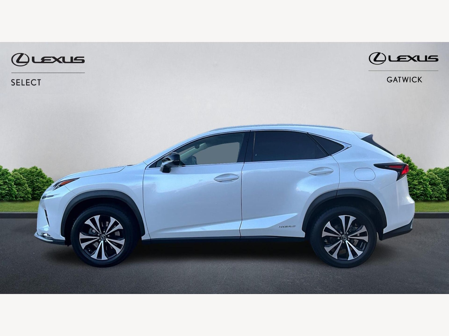 Used Lexus NX 2021 for sale - 76446617: Photo 3