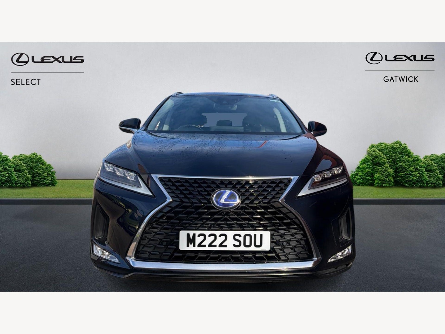 Used Lexus RX 2022 for sale - 77794352: Photo 6