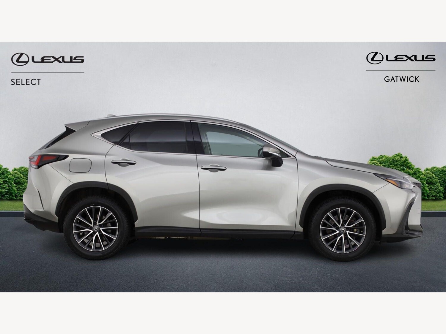 Used Lexus NX 2023 for sale - 78062945: Photo 18