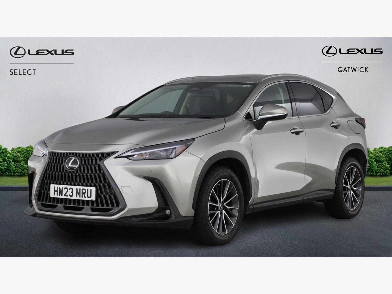 Used Lexus NX 2023 for sale - 78062945: Photo 19