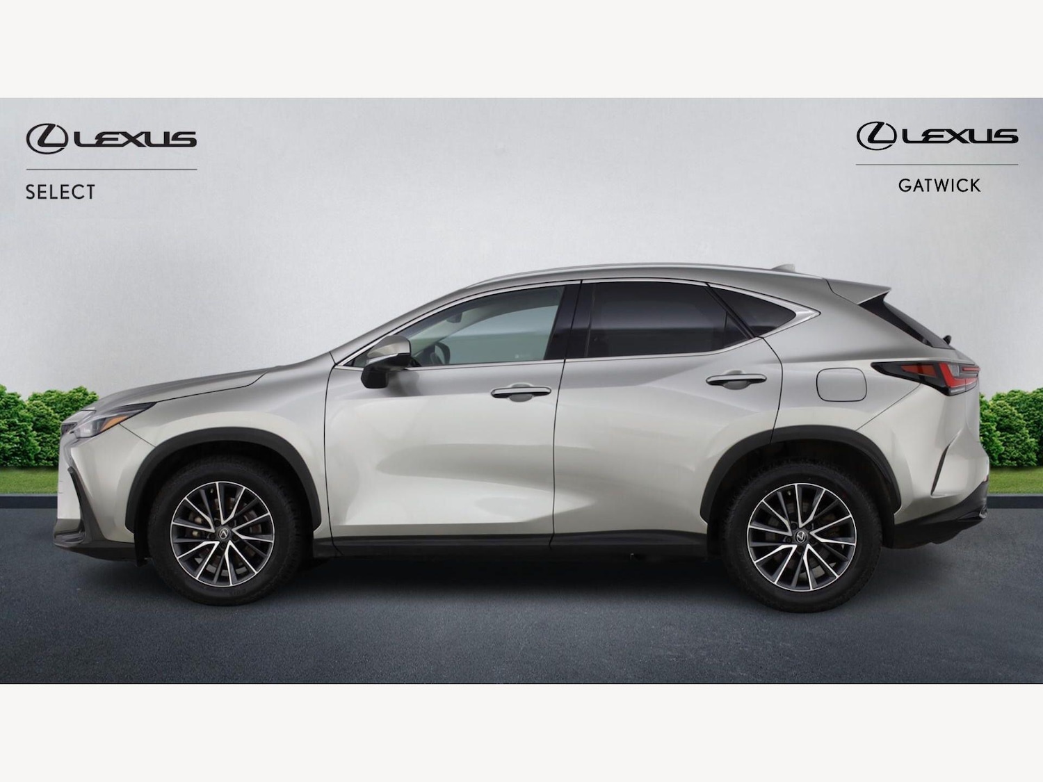 Used Lexus NX 2023 for sale - 78062945: Photo 3