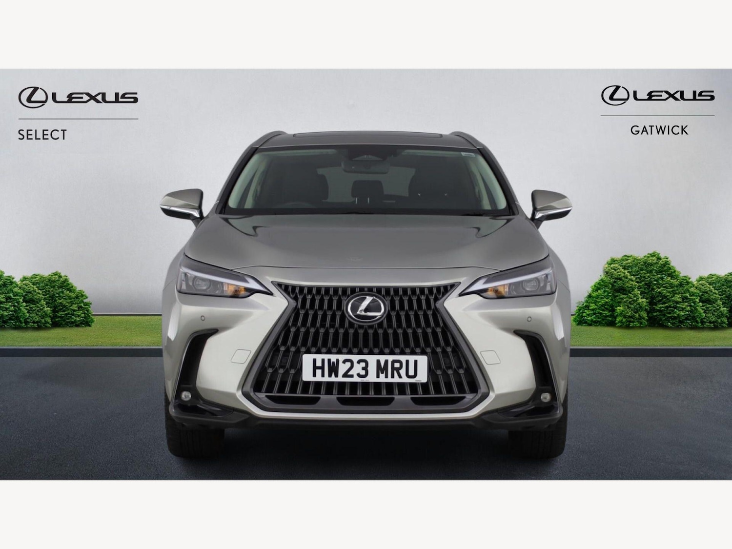 Used Lexus NX 2023 for sale - 78062945: Photo 6