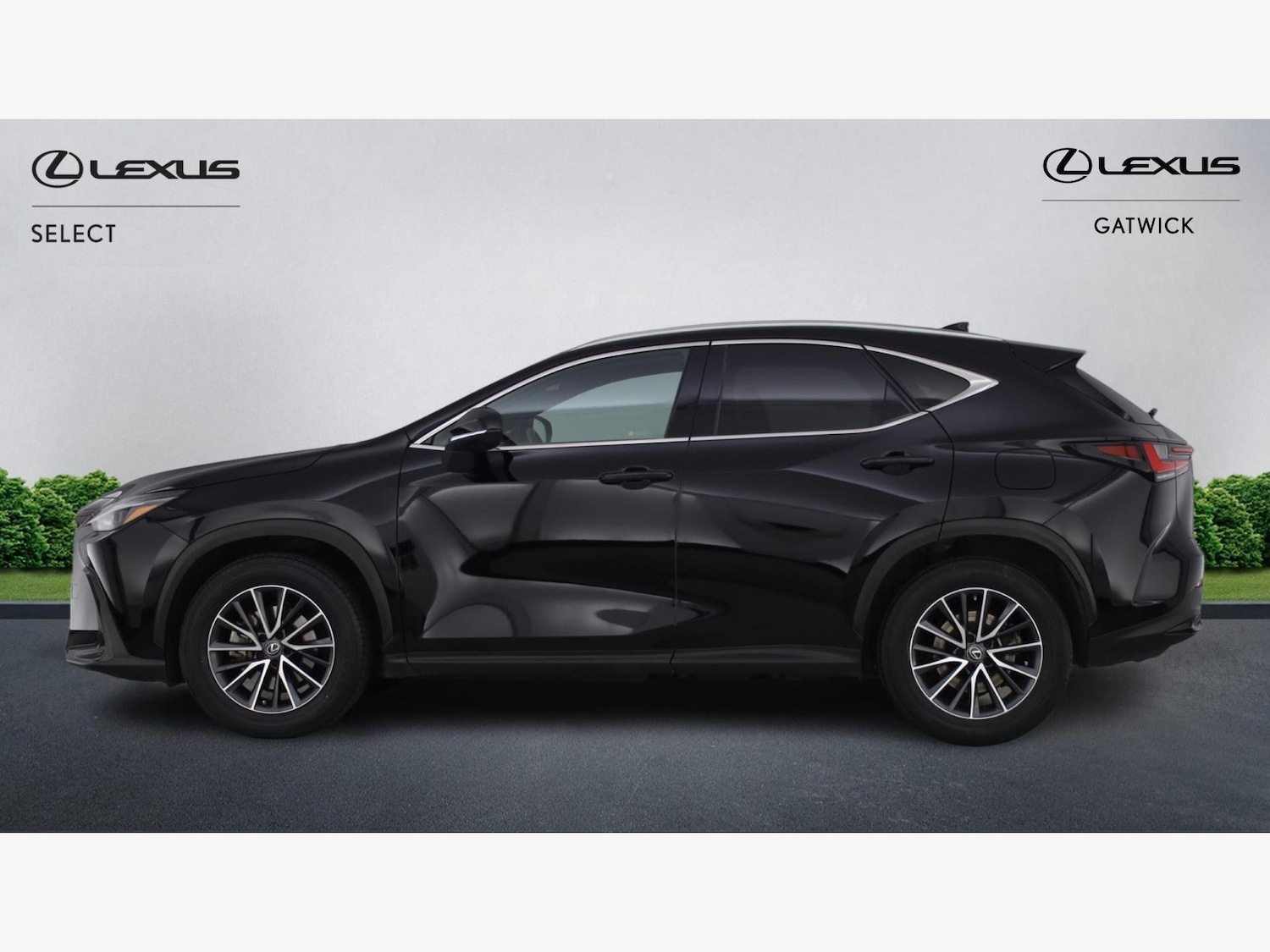 Used Lexus NX 2023 for sale - 77510269: Photo 3