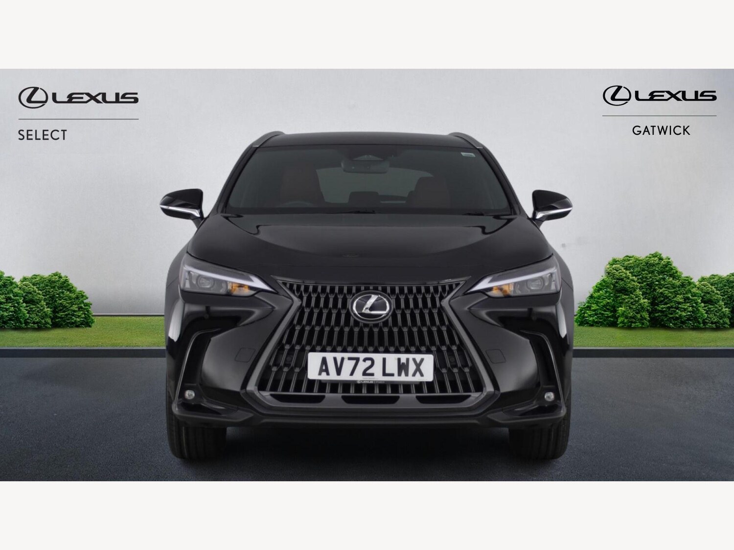 Used Lexus NX 2023 for sale - 77510269: Photo 6