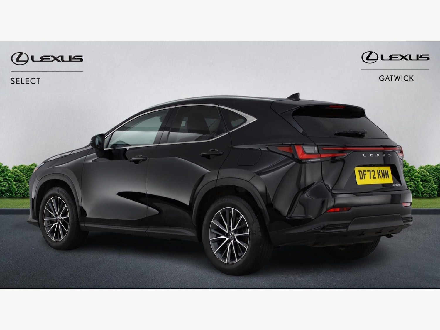 Used Lexus NX 2023 for sale - 77939657: Photo 2