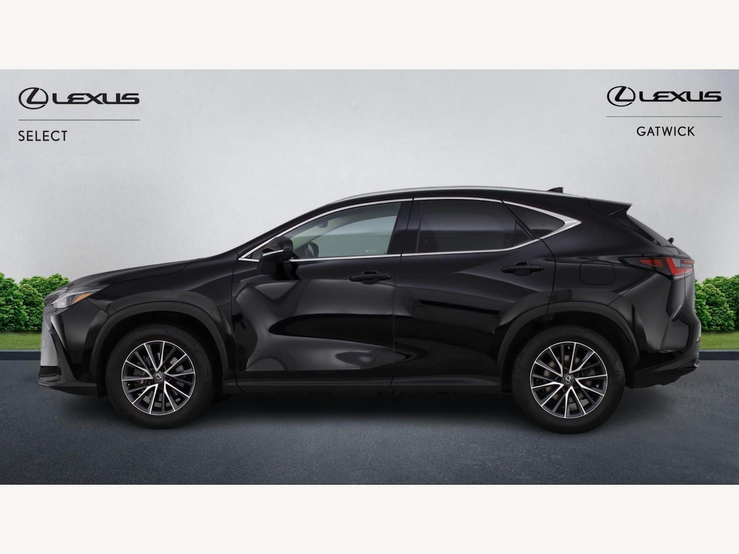 Used Lexus NX 2023 for sale - 77939657: Photo 3