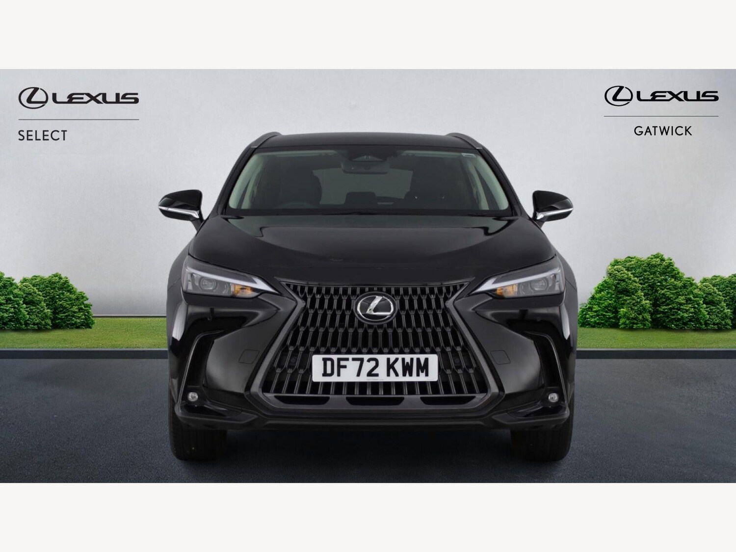 Used Lexus NX 2023 for sale - 77939657: Photo 6