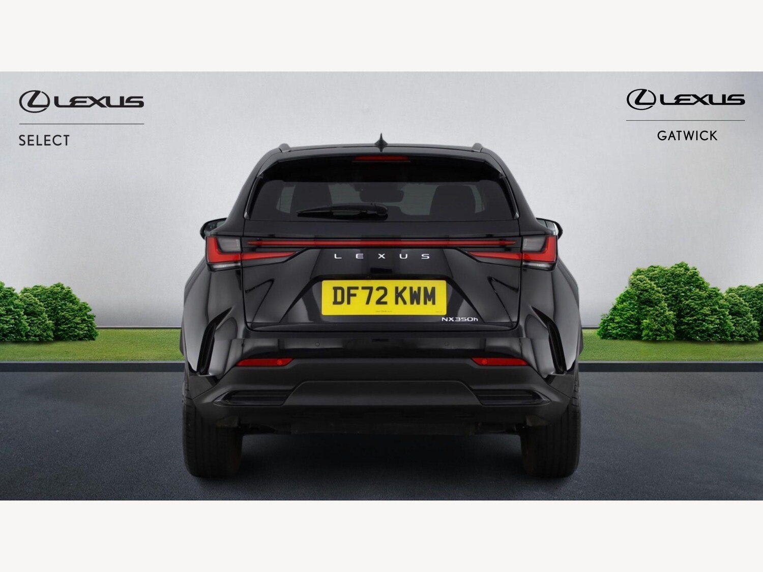 Used Lexus NX 2023 for sale - 77939657: Photo 7