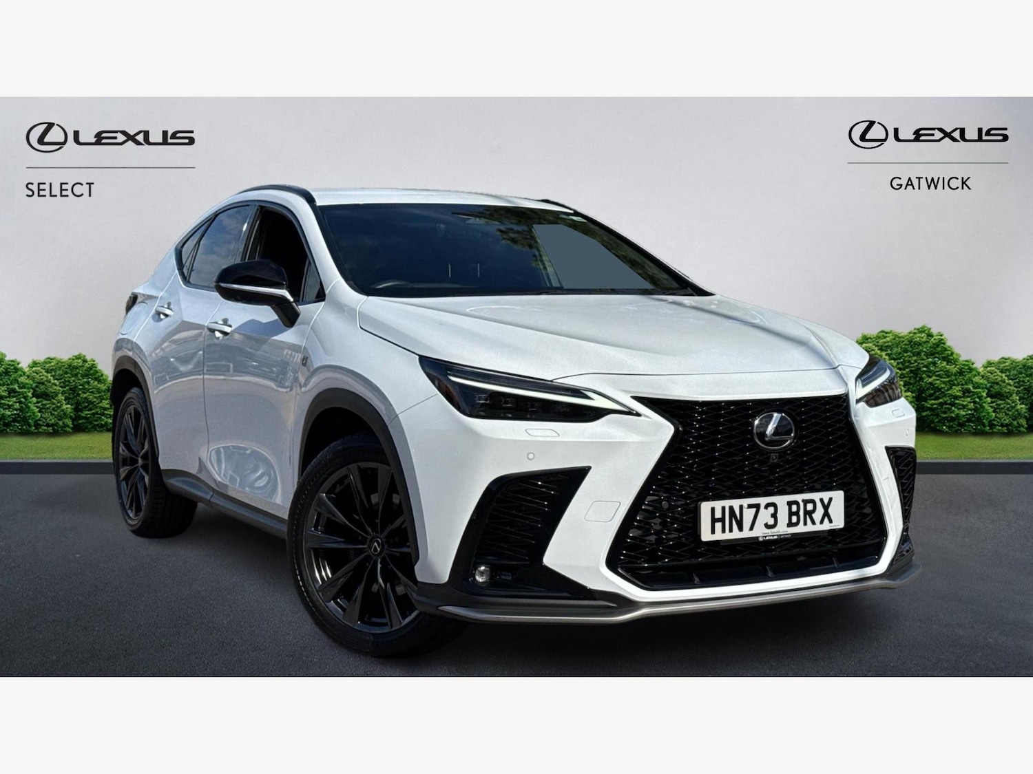 Used Lexus NX 2023 for sale - 76498538: Photo 1