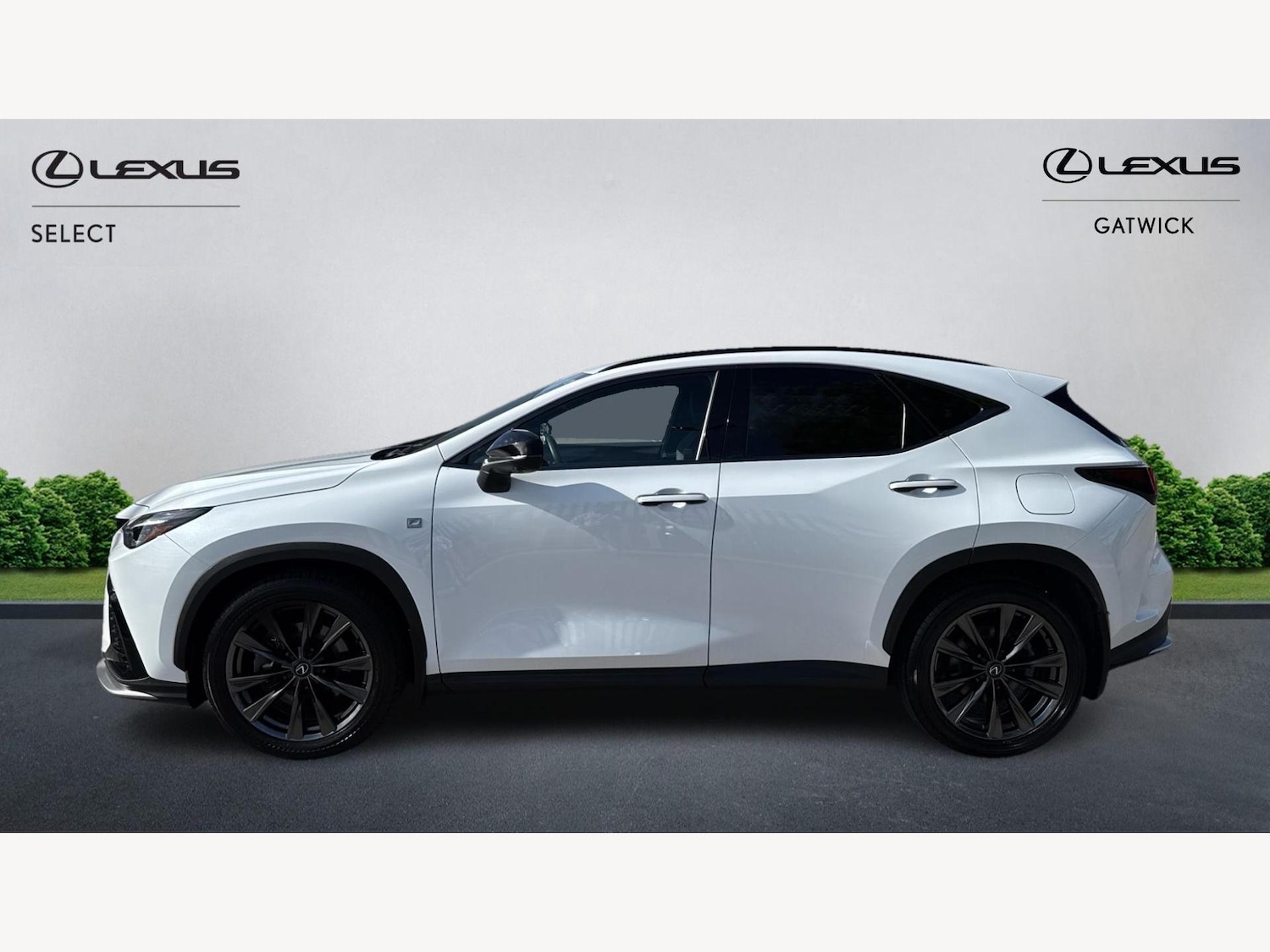 Used Lexus NX 2023 for sale - 76498538: Photo 3