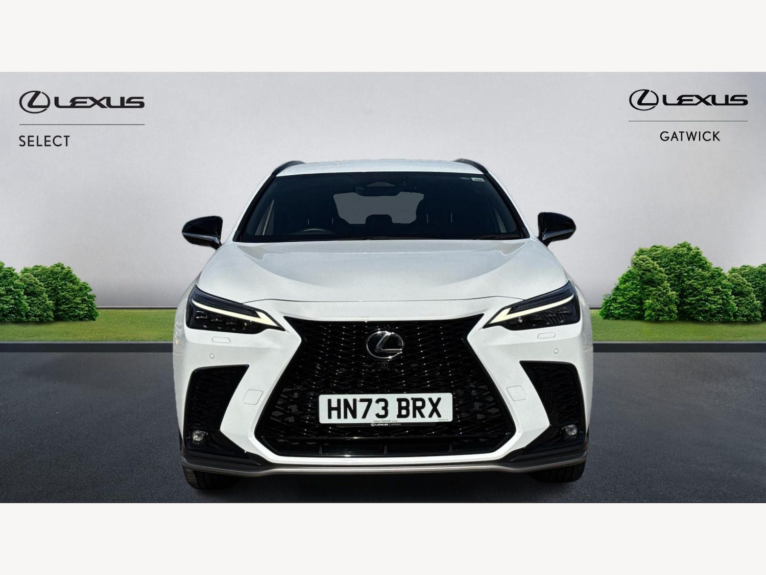 Used Lexus NX 2023 for sale - 76498538: Photo 6