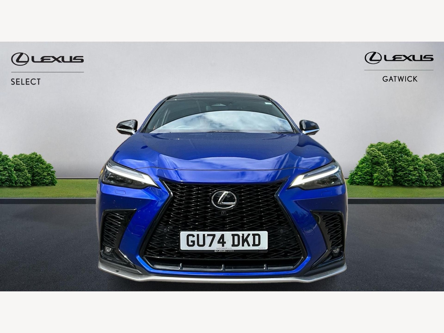 Used Lexus NX 2024 for sale - 77109865: Photo 6