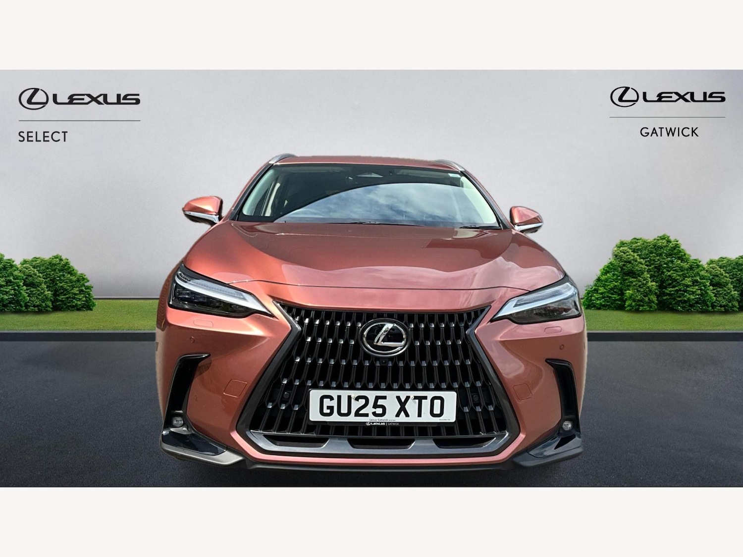 Used Lexus NX 2025 for sale - 76473027: Photo 6