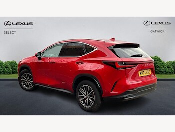 Used Lexus NX 2024 for sale - 77314577: Photo