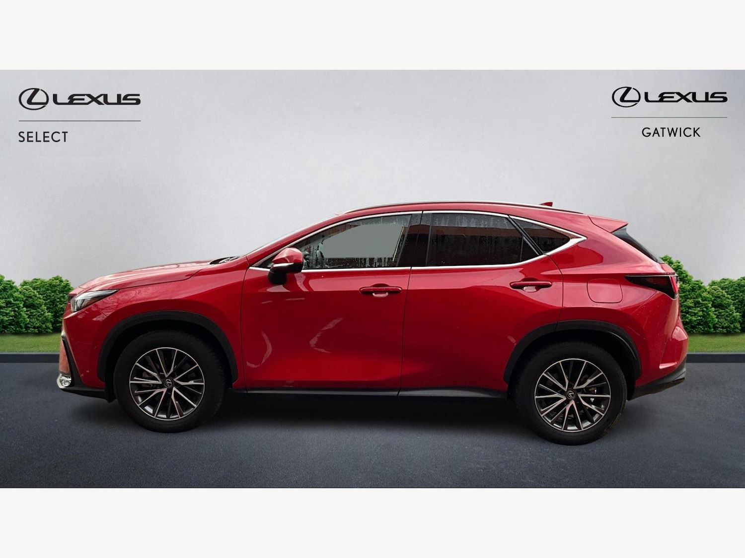 Used Lexus NX 2024 for sale - 77314577: Photo 3