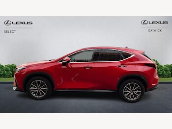 Used Lexus NX 2024 for sale - 77314577: Photo