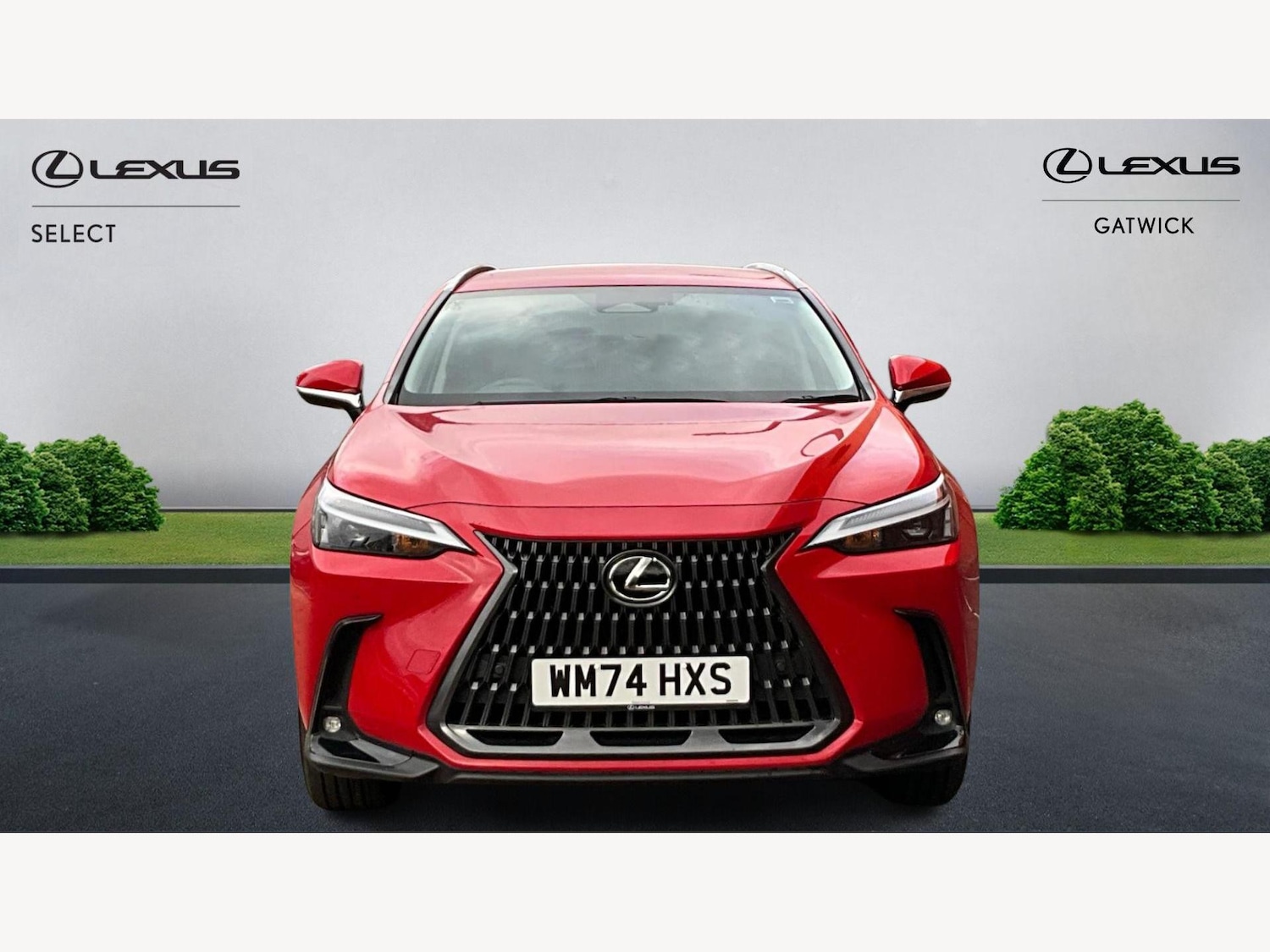 Used Lexus NX 2024 for sale - 77314577: Photo 6