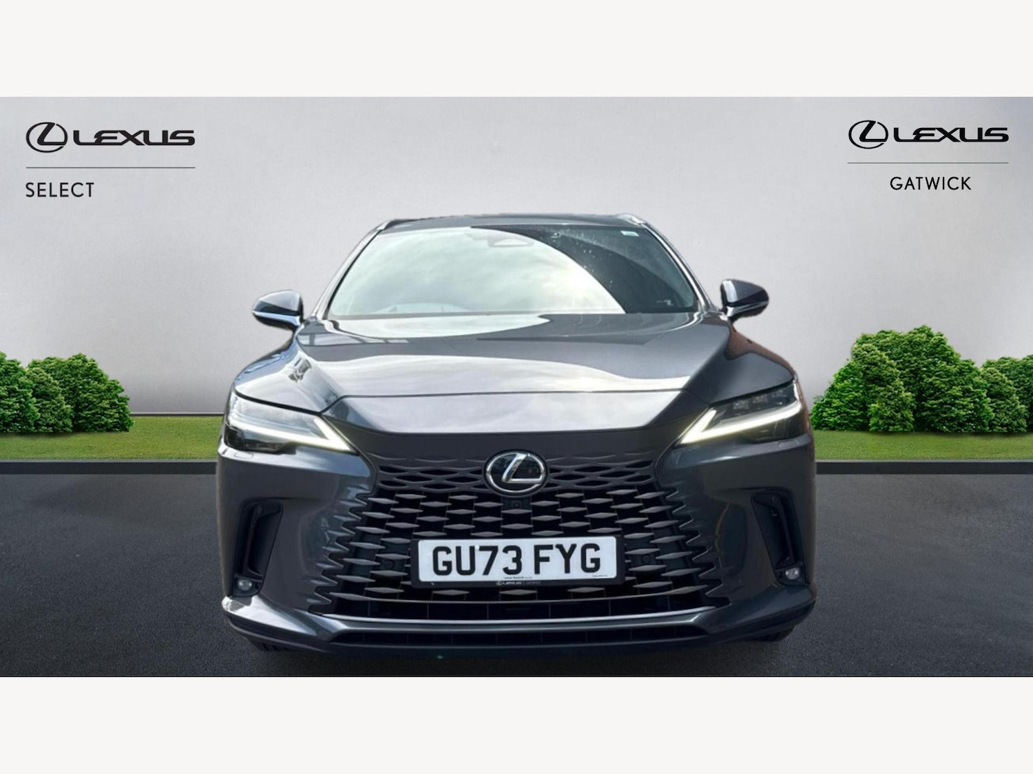 Used Lexus RX for sale - 77216145: Photo 6