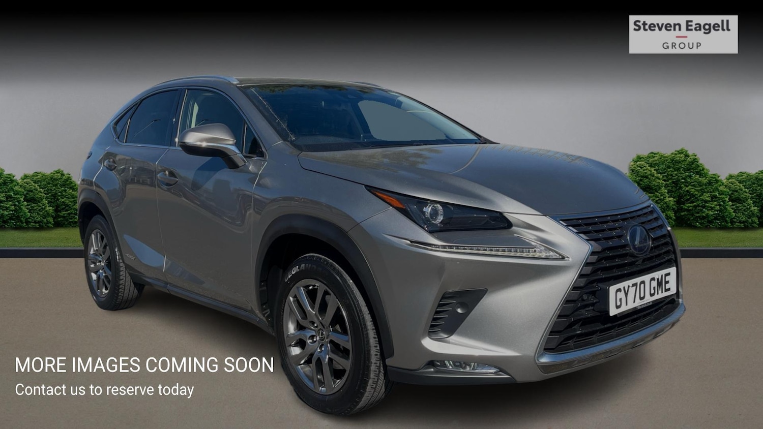 Used Lexus NX for sale - 78204261: Photo 1