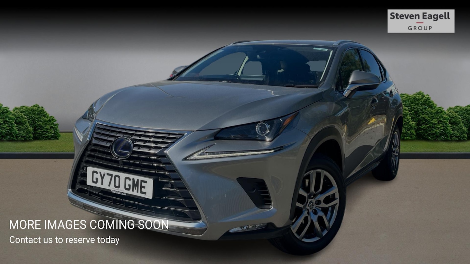 Used Lexus NX for sale - 78204261: Photo 3