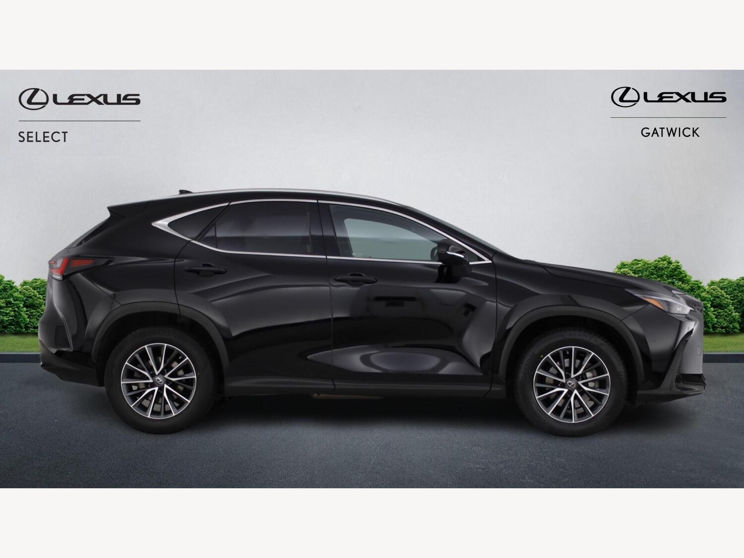 Used Lexus NX for sale - 77216094: Photo 18