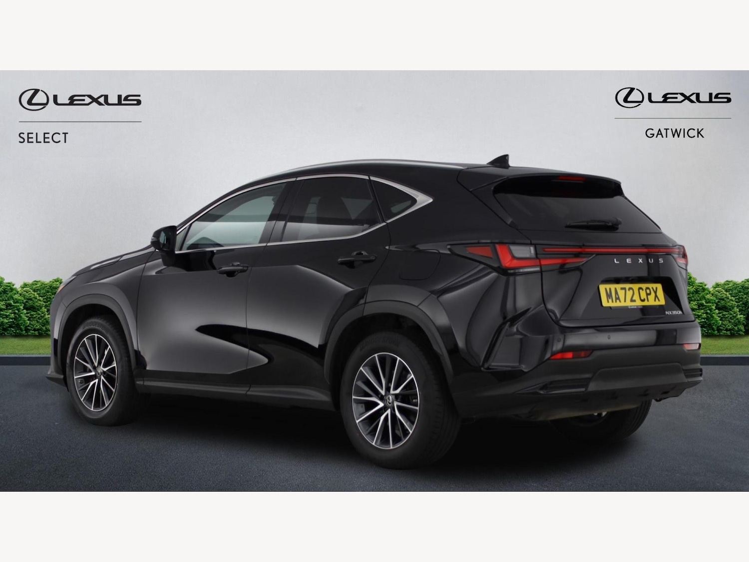 Used Lexus NX for sale - 77216094: Photo 2
