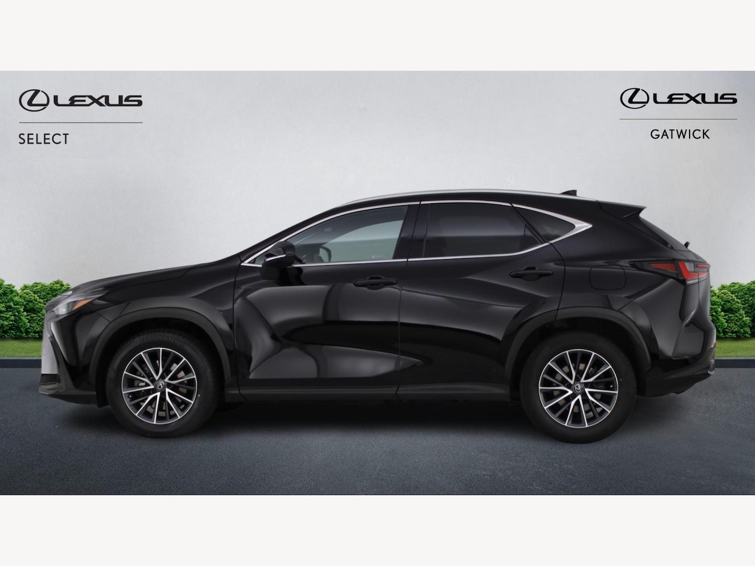 Used Lexus NX for sale - 77216094: Photo 3