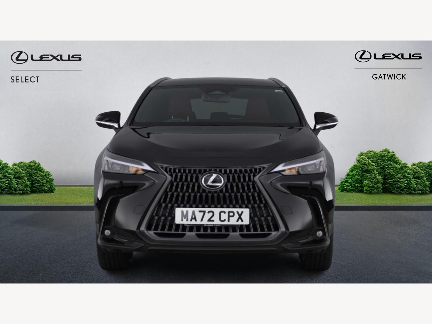 Used Lexus NX for sale - 77216094: Photo 6