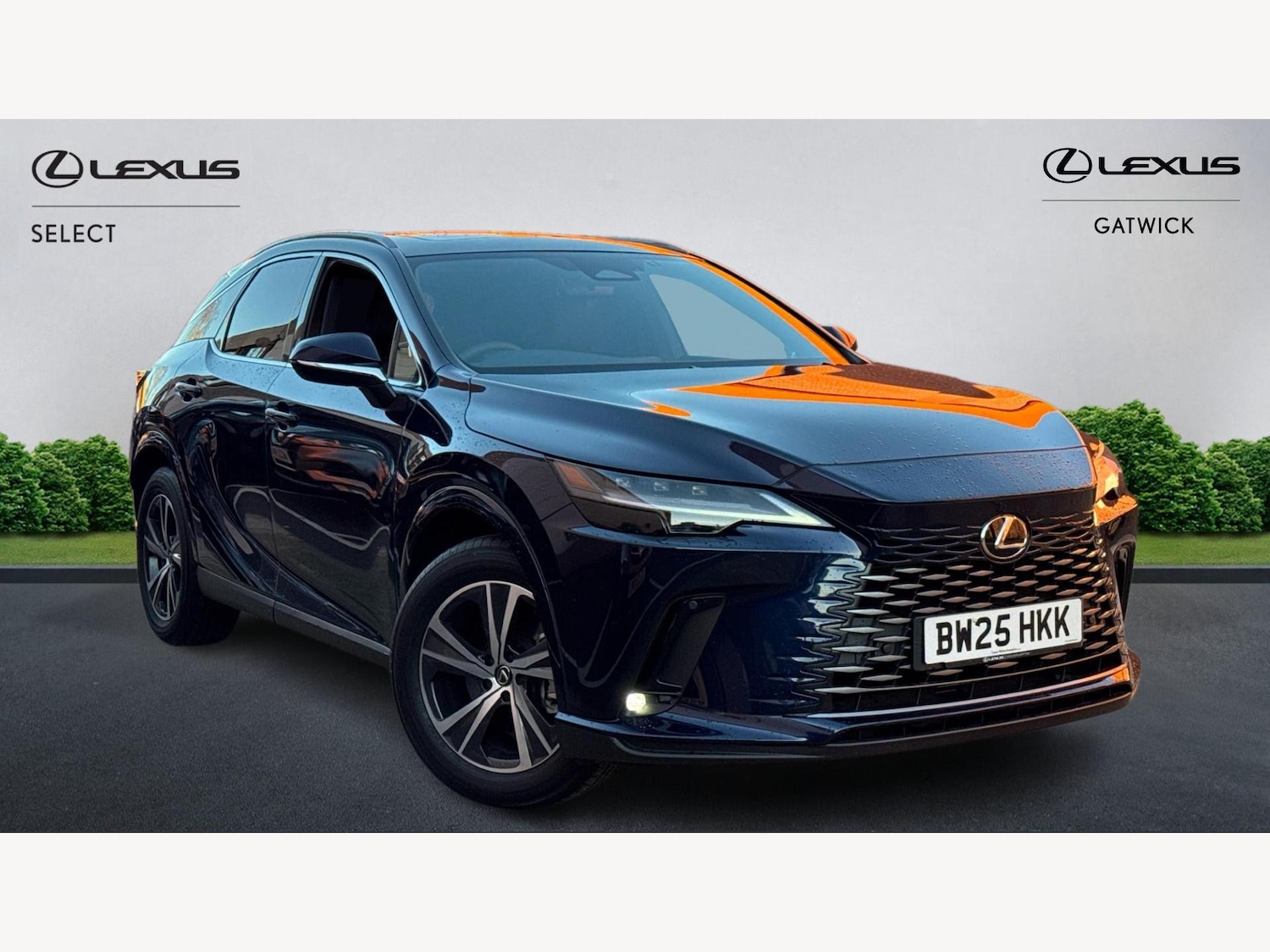 Used Lexus RX 2025 for sale - 76855904: Photo 1