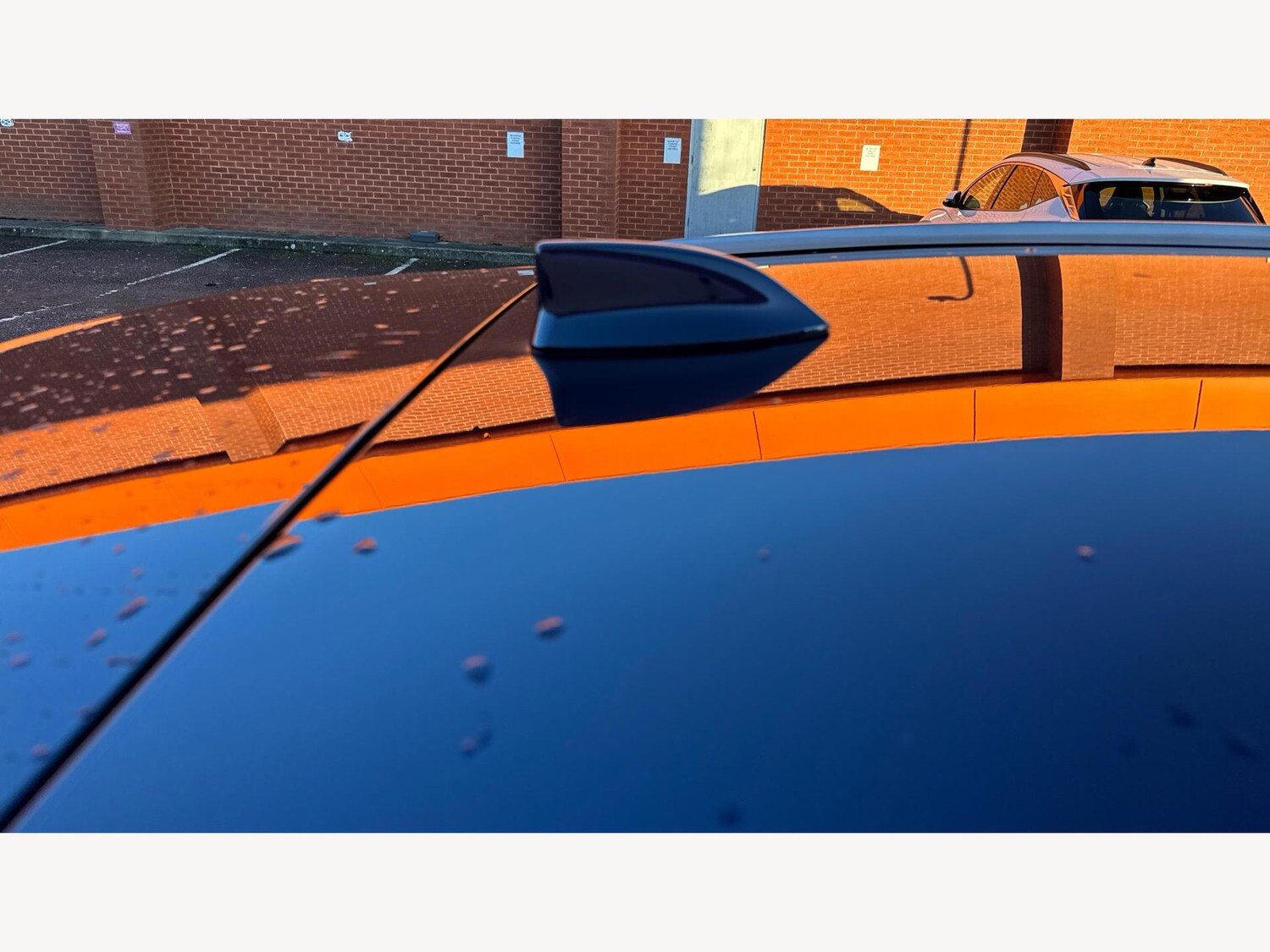 Used Lexus RX 2025 for sale - 76855904: Photo 22